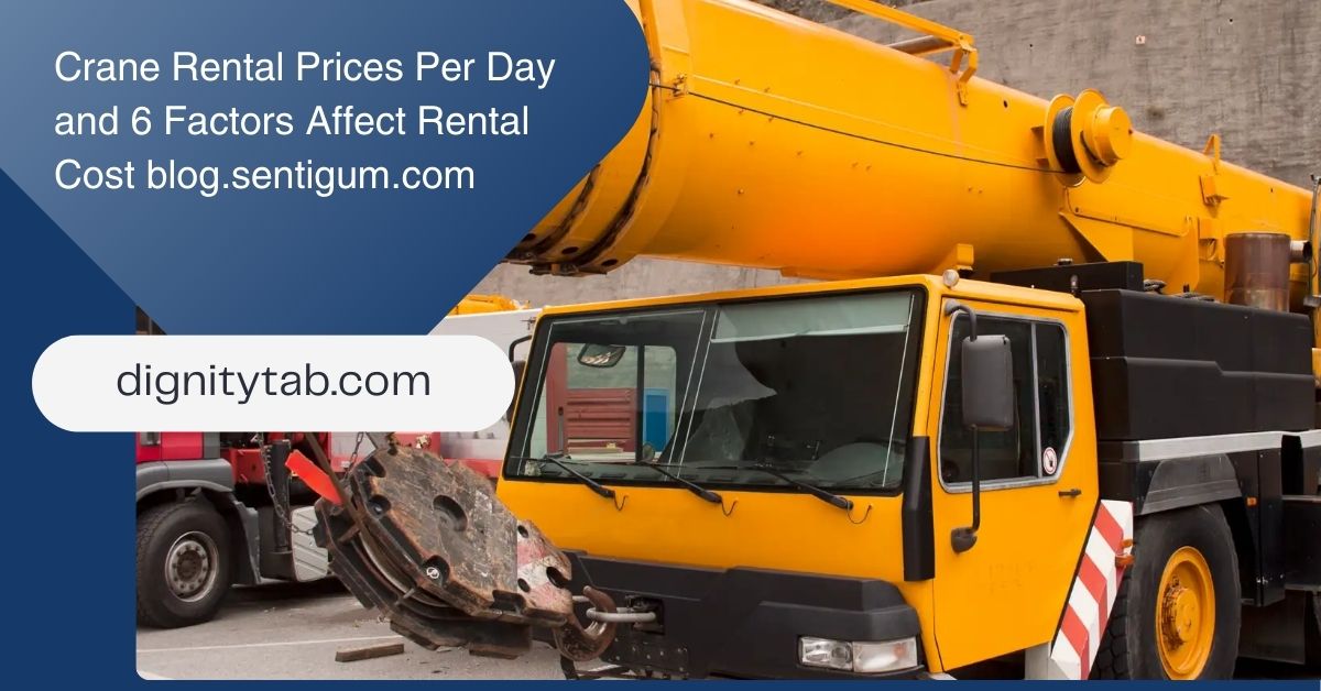 Crane Rental Prices Per Day and 6 Factors Affect Rental Cost blog.sentigum.com