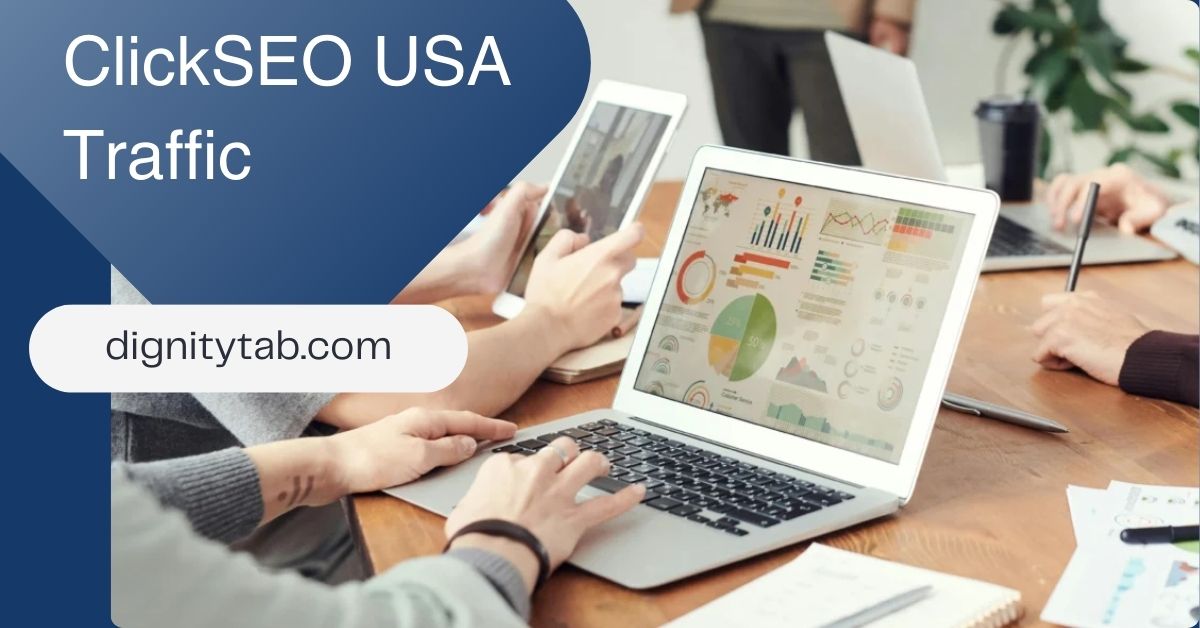 ClickSEO USA Traffic